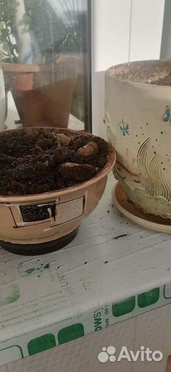 Горшок для цветов