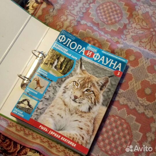 Коллекция журналов 