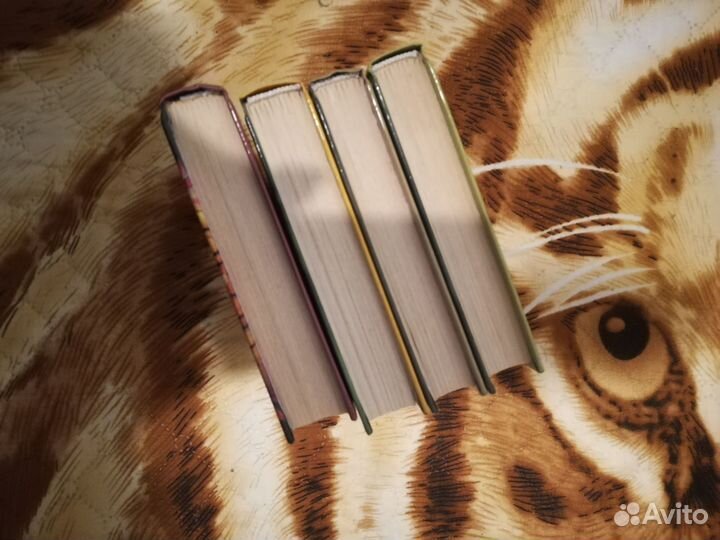 Люк Бессон, книги про Артура