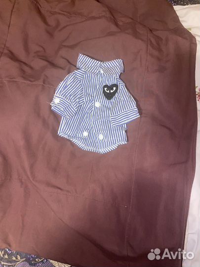 Одежда для маленьких собак