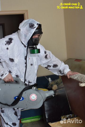 Дезинфекция