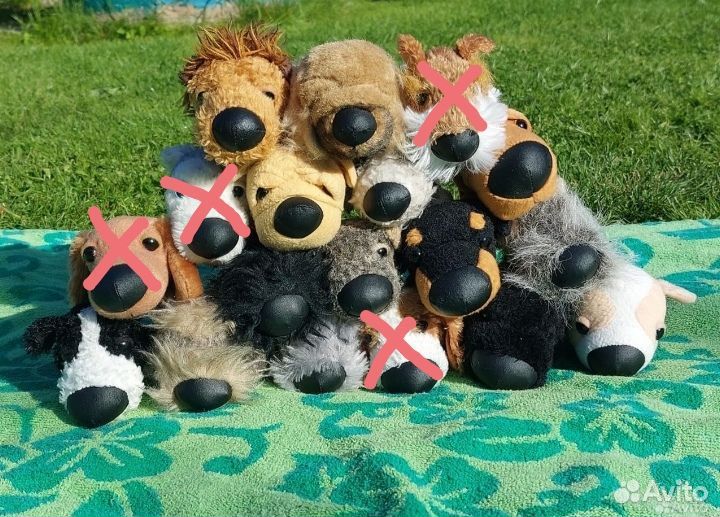 The dog collection
