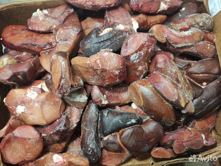 Корм для животных собак и кошек сухой и свежоморож