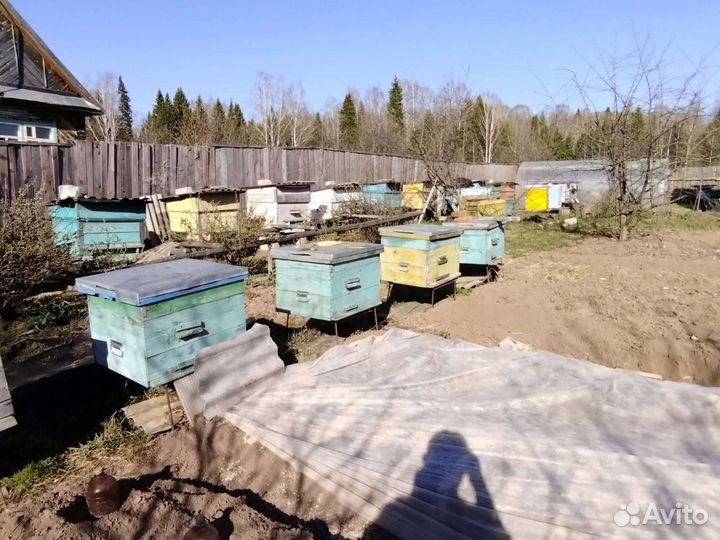 Улей для пчел
