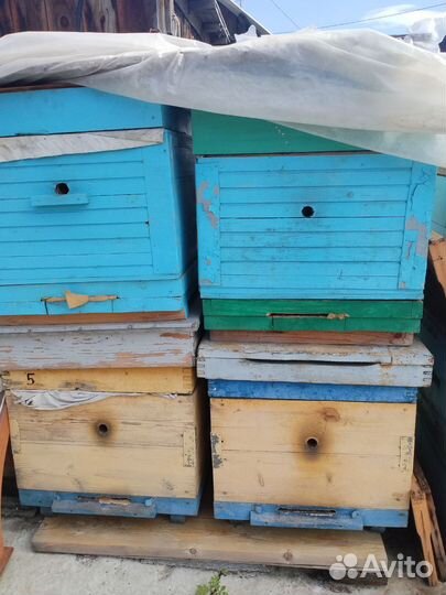 Улей для пчел бу