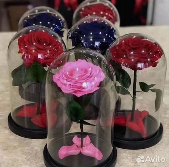 Розы в колбе любые