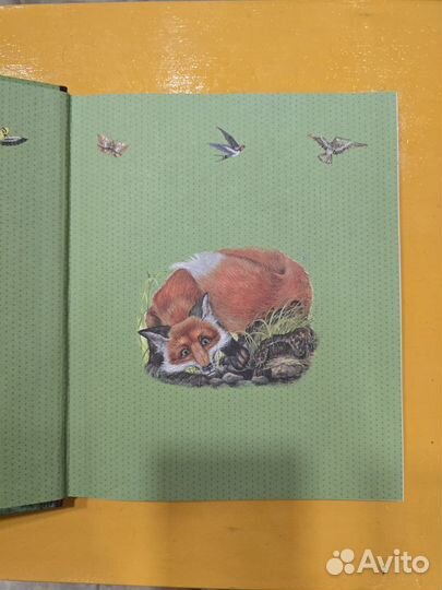 Мастера без топора. Читаем сами. Бианки