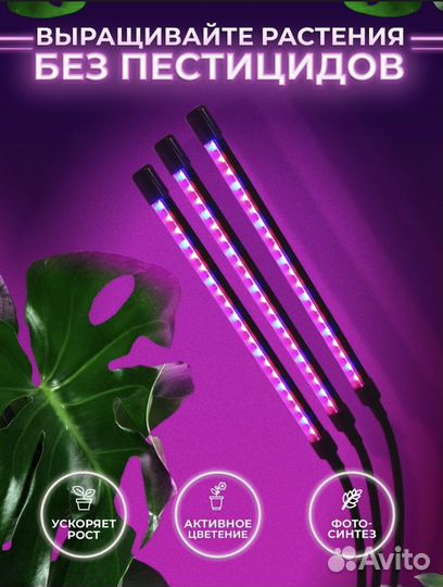 Фитолампа для растений