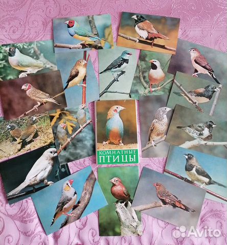 Наборы открыток СССР (животные и птицы)