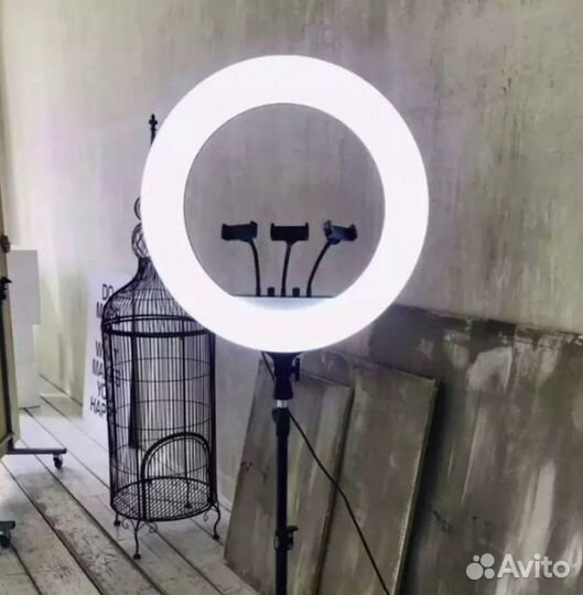 Световое Кольцо 54 См