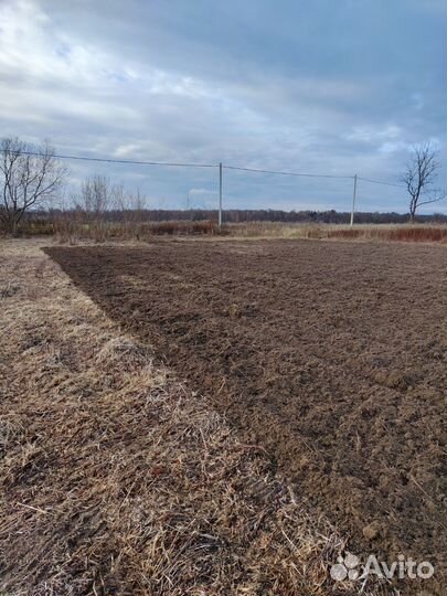 Спил деревьев Покос травы спил вспашка земли