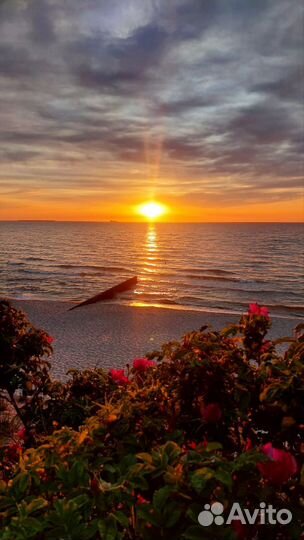 Индивидуальный Тур в Калининград от 3-х дней