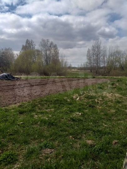 Участок 40 сот. (ИЖС)