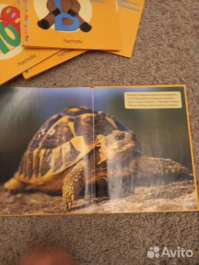 Набор моя весёлая азбука