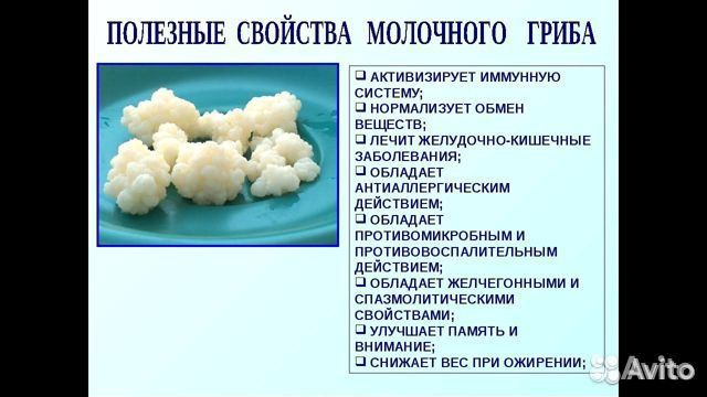 Козье и коровье молоко, мясо, домашние продукты