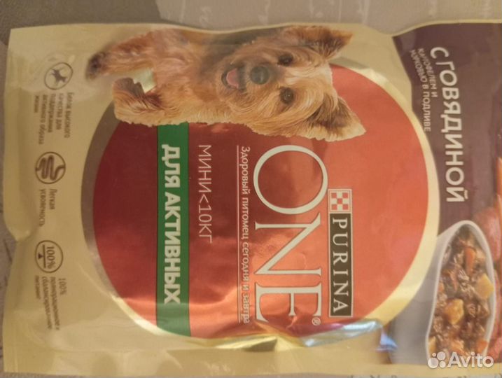 Корм для кошек и собак