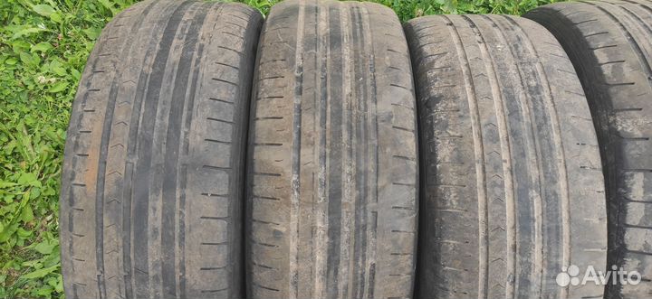 Continental ContiPremiumContact 5 215/60 R16 95H