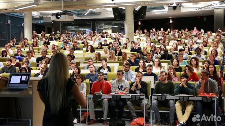 Дипломные работы Диссертация ВКР Курсовые