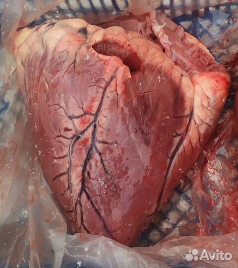 Мясо и кости для собак