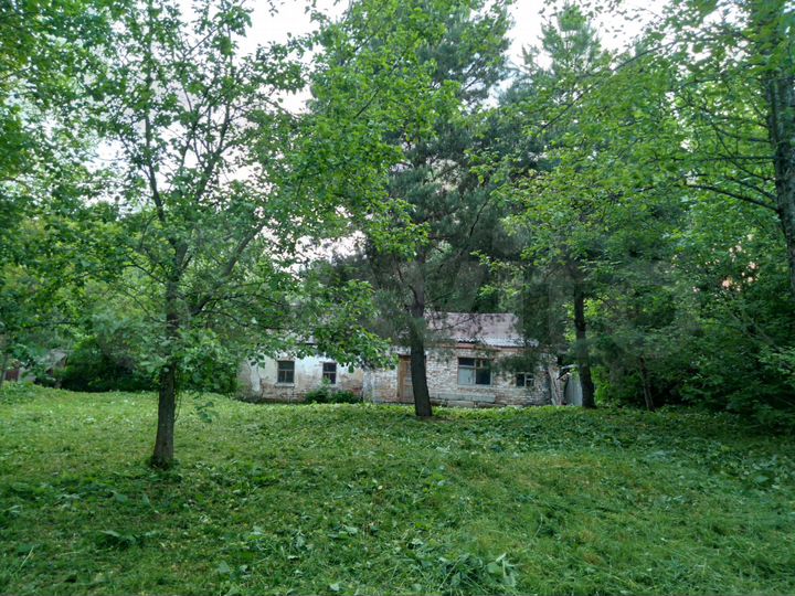 Участок 1,7 га (ИЖС)