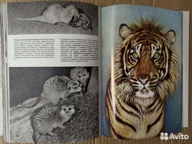 Иллюстрированные энциклопедии животных, рыб и птиц