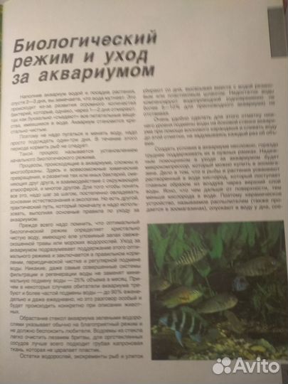 Книги о домашних животных