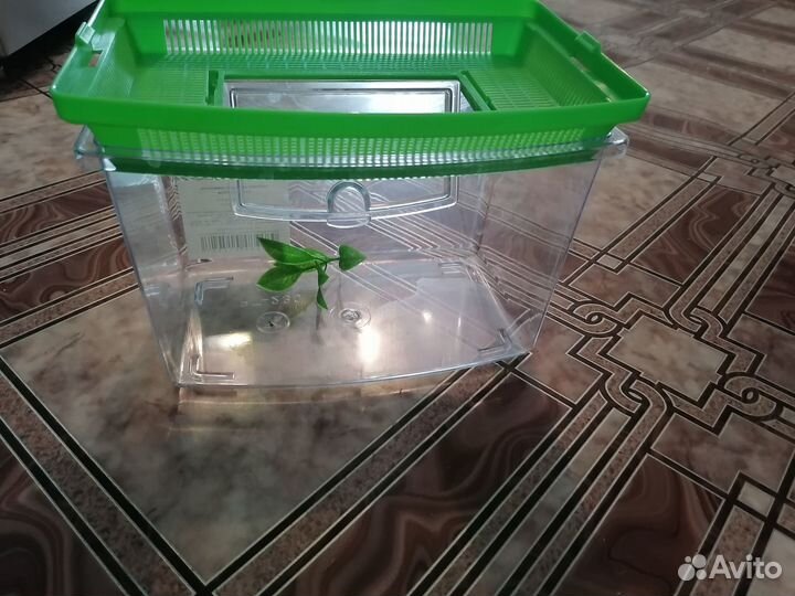 Аквариум с рыбками