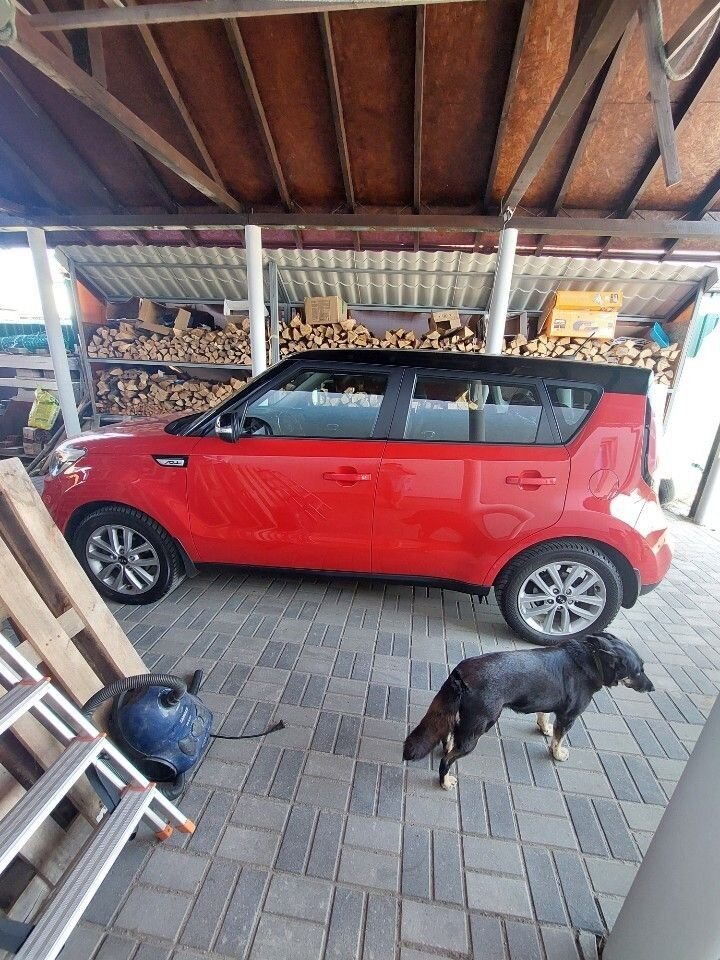 Kia Soul: фото владельца