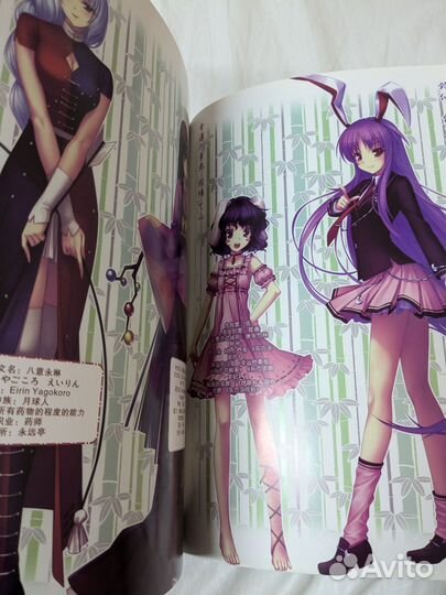 Artbook Touhou project