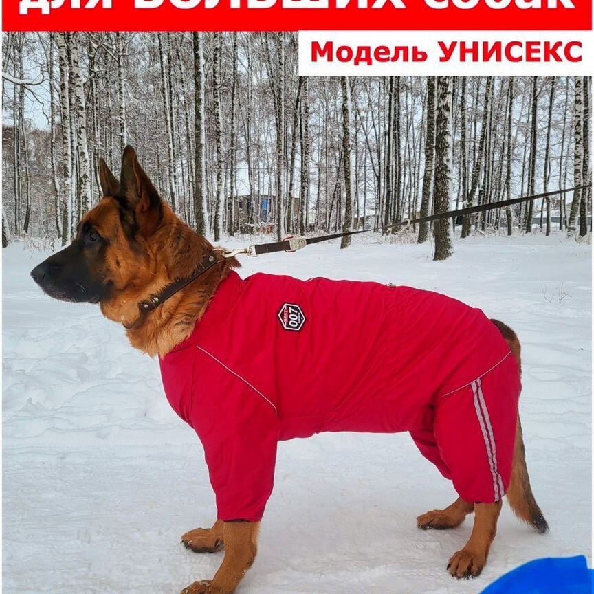 Комбинезон для больших собак 7XL