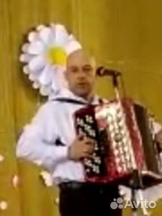 Баянист на праздник