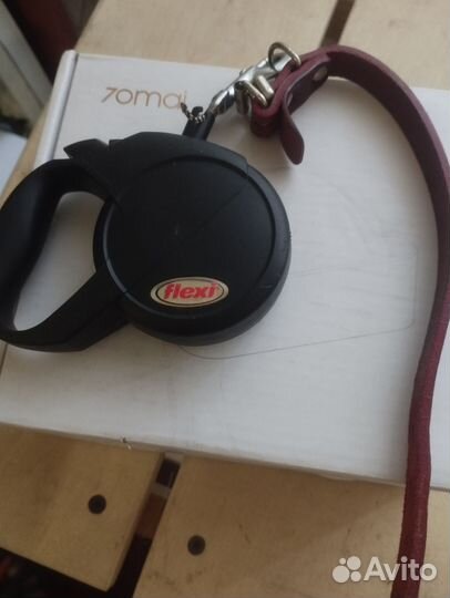 Поводок и комбинезон для мелких собак