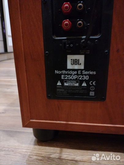 Колонки для компьютера E250P/230