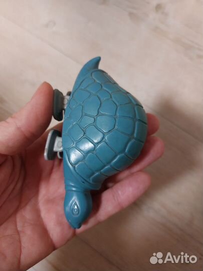 Черепаха СССР ходячая