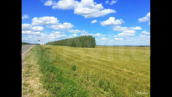 Участок 4,49 га (СНТ, ДНП)