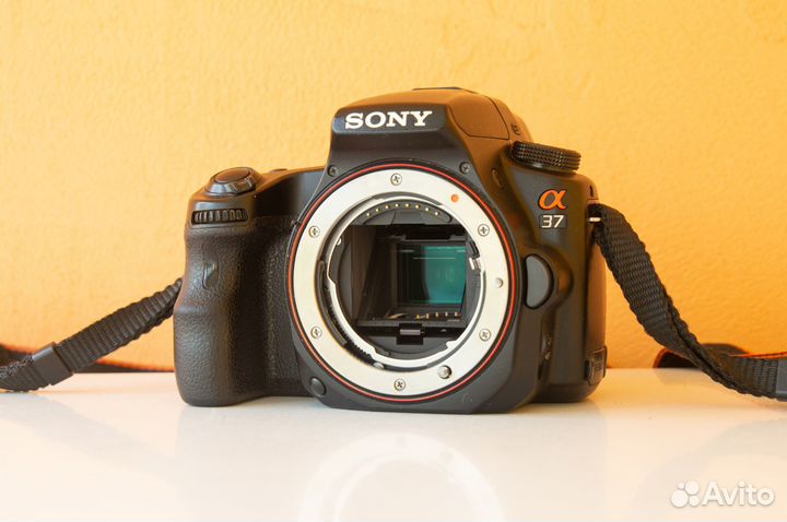 Зеркальный фотоаппарат Sony Alpha a37 (body)