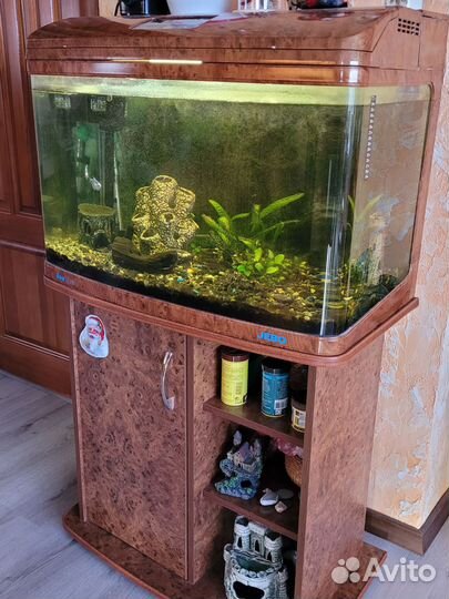 Аквариум с тумбой jebo 150 л