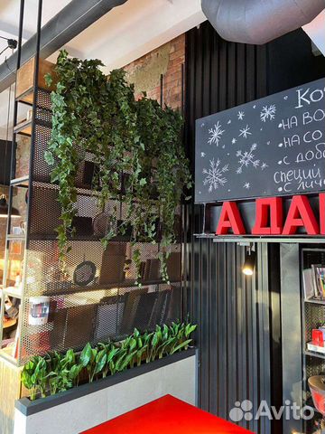 Искусственные растения силиконовые Калатея