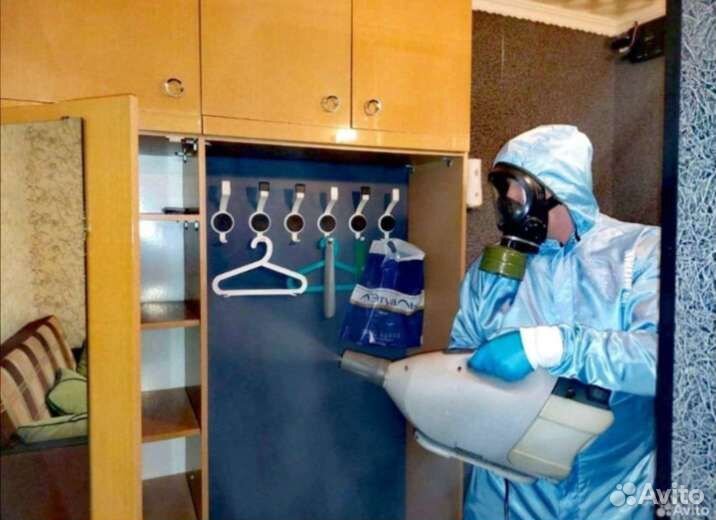 Уничтожение клопов тараканов мышей блох клещей