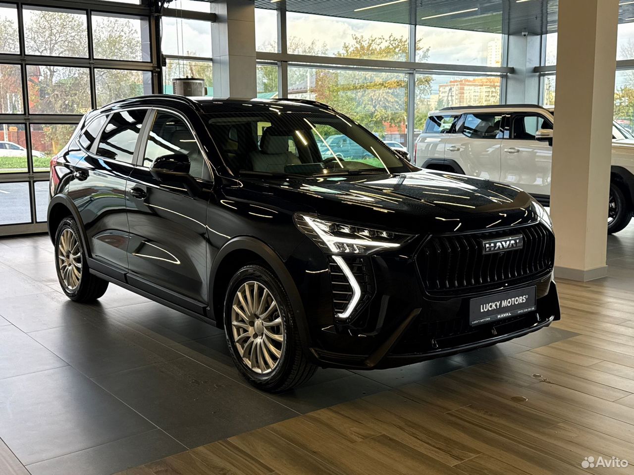 HAVAL Jolion 1.5 AMT, 2025, 3 684 км