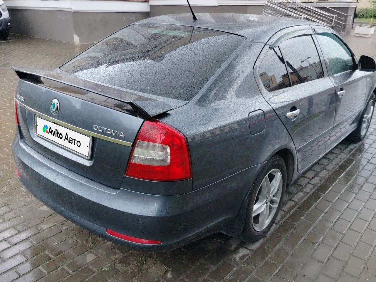 Skoda Octavia: фото владельца