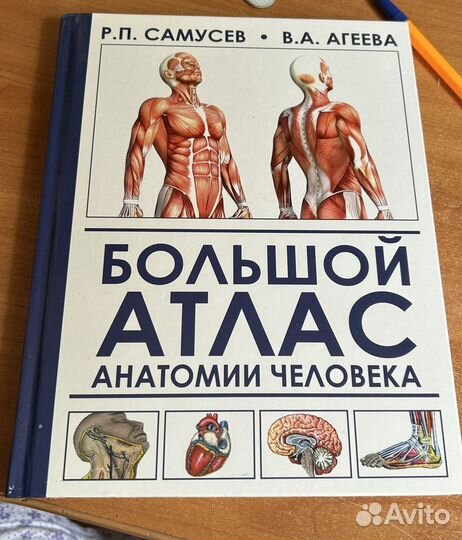 Большой атлас анатомии человека Самусев Р.П.Агеева