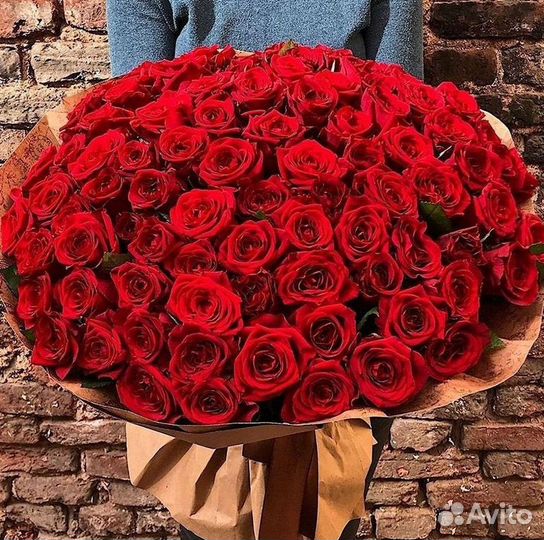 101 роза цветы букеты доставка 25 51 101 роза
