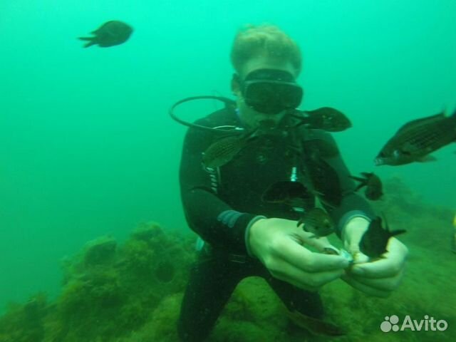 Дайвинг в море в Адлере ежедневно