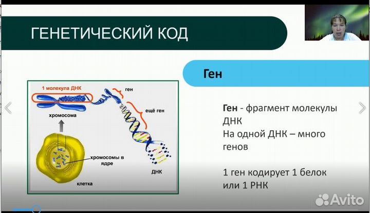 Репетитор Биология ДВИ МГУ