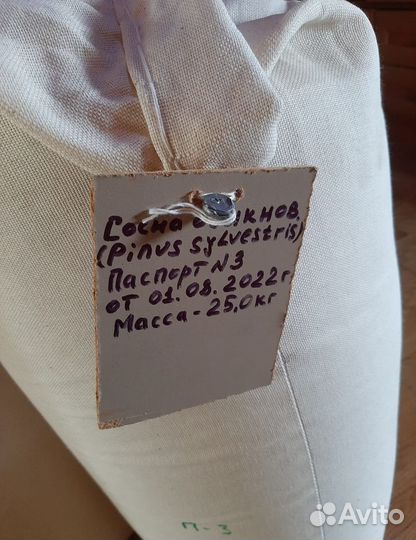 Семена ели от производителя