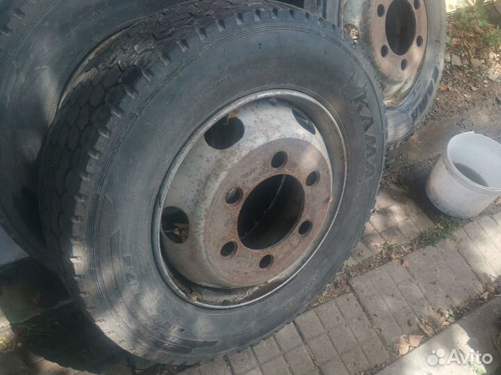 Шины Грузовые Кама 215/75R17, 5