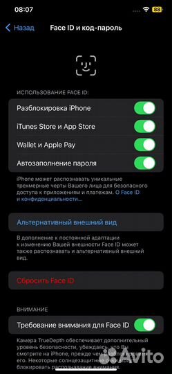 iPhone Xs Max, 256 ГБ