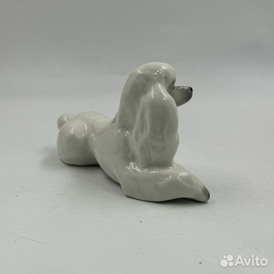 Статуэтка фарфор пудель лфз собака фигура