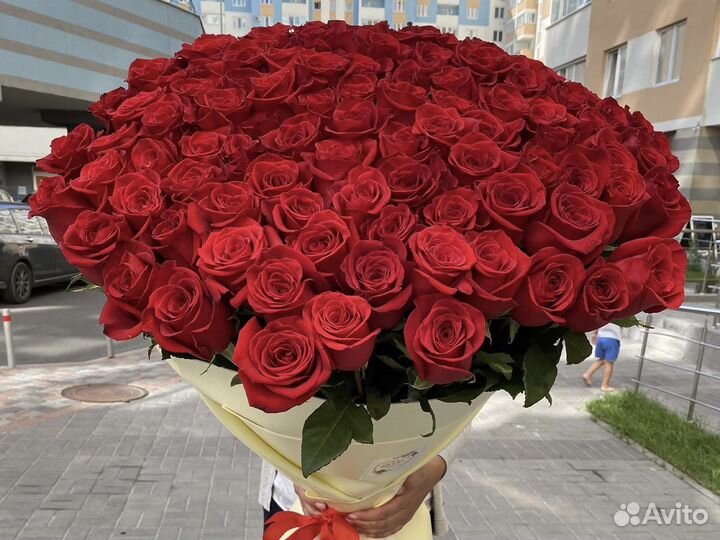 101 роза 51 31 25 Роза. Цветы, доставка букетов